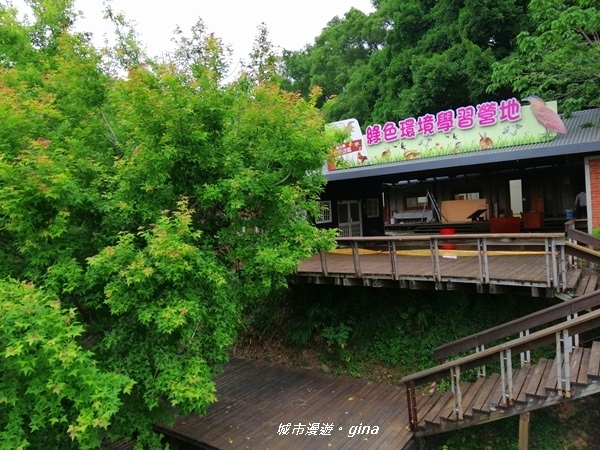 IMG_20200411_160401.jpg IMG_20200411_160401.jpg