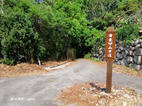 IMG_20200418_090225.jpg IMG_20200418_090225.jpg