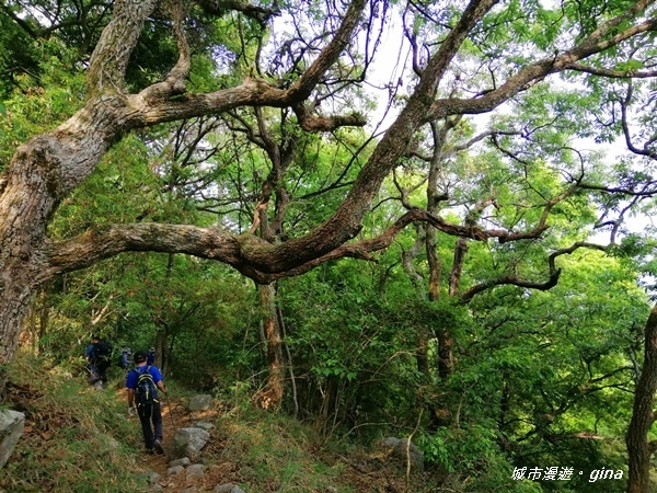 IMG_20200418_090104.jpg IMG_20200418_090104.jpg