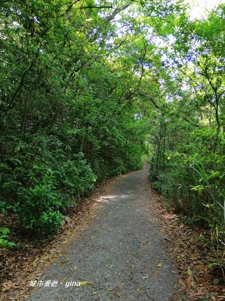 IMG_20200418_090855.jpg IMG_20200418_090855.jpg