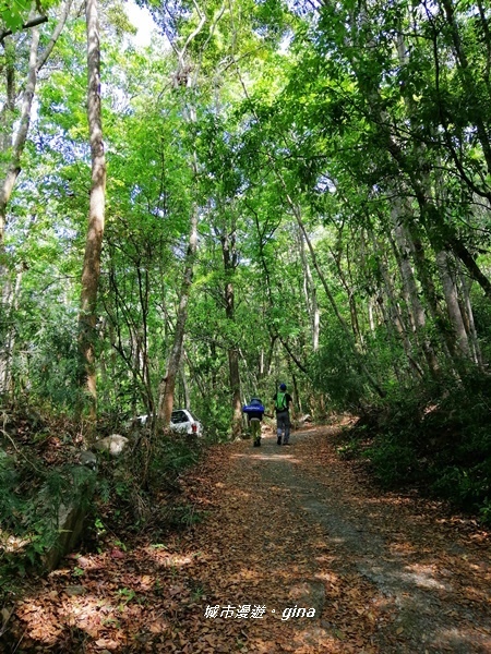 IMG_20200418_091922.jpg IMG_20200418_091922.jpg