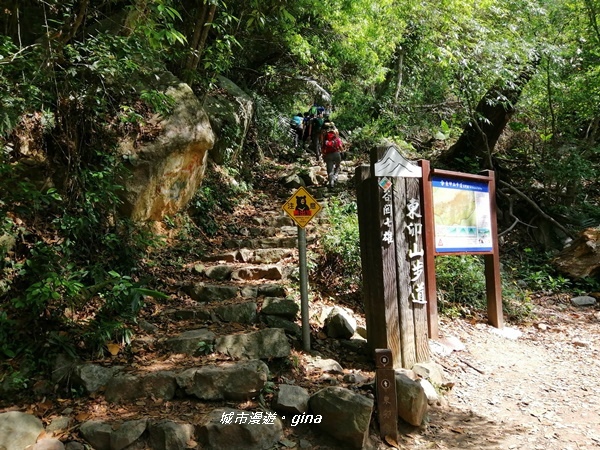 IMG_20200418_092508.jpg IMG_20200418_092508.jpg