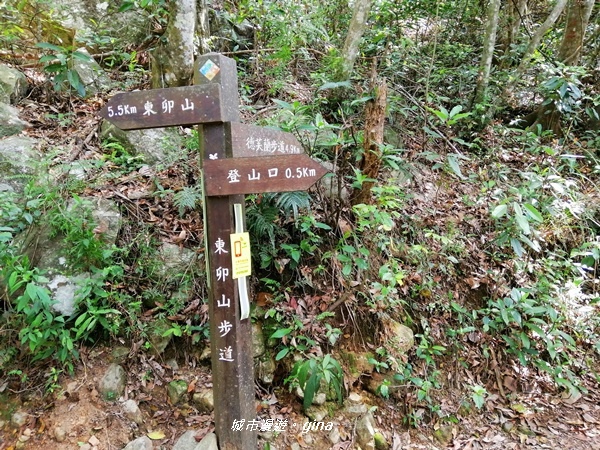 IMG_20200418_094014.jpg IMG_20200418_094014.jpg