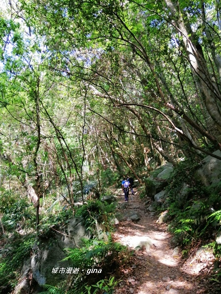 IMG_20200418_093224.jpg IMG_20200418_093224.jpg