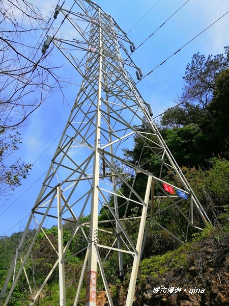 IMG_20200418_094959.jpg IMG_20200418_094959.jpg