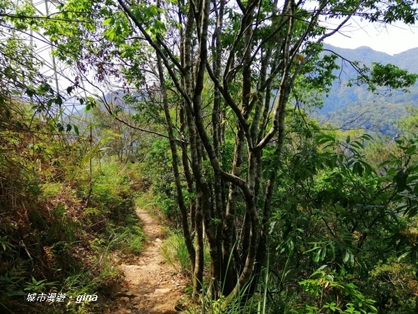 IMG_20200418_095146.jpg IMG_20200418_095146.jpg