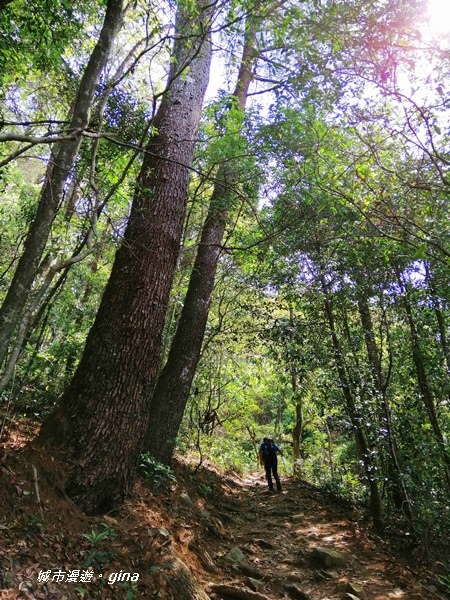 IMG_20200418_094453.jpg IMG_20200418_094453.jpg