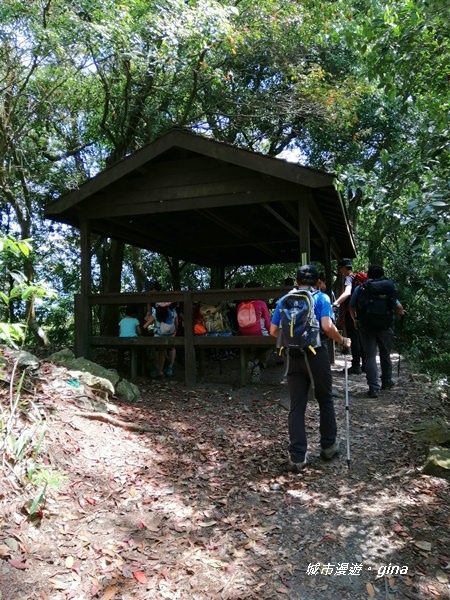 IMG_20200418_102710.jpg IMG_20200418_102710.jpg