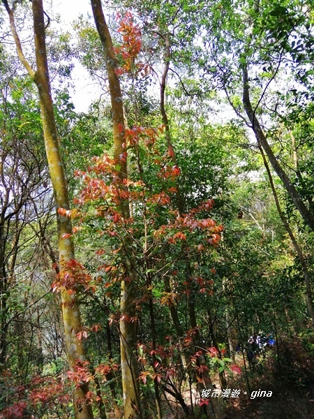 IMG_20200418_104250.jpg IMG_20200418_104250.jpg