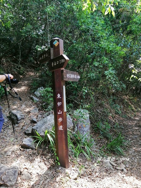 IMG_20200418_102905.jpg IMG_20200418_102905.jpg