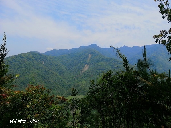 IMG_20200418_105040.jpg IMG_20200418_105040.jpg