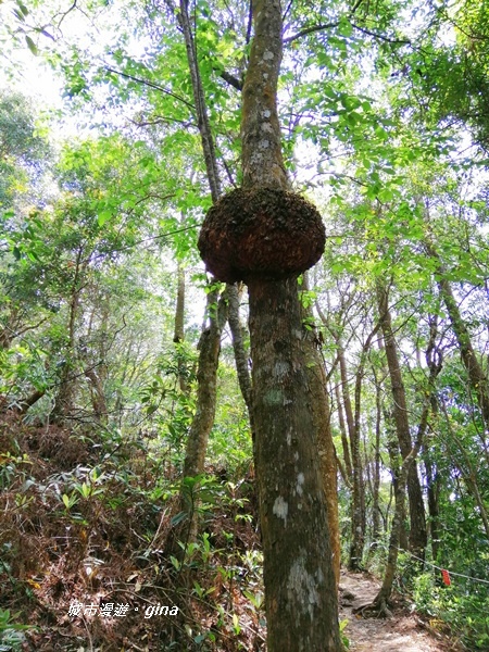 IMG_20200418_104353.jpg IMG_20200418_104353.jpg