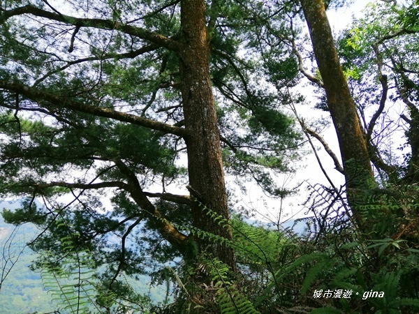 IMG_20200418_105730.jpg IMG_20200418_105730.jpg