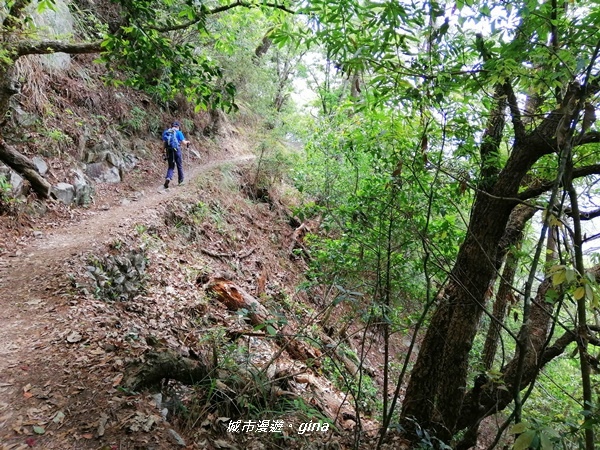 IMG_20200418_111638.jpg IMG_20200418_111638.jpg