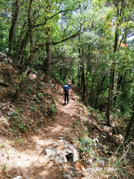 IMG_20200418_110509.jpg IMG_20200418_110509.jpg