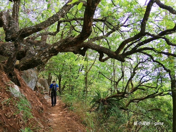 IMG_20200418_111247.jpg IMG_20200418_111247.jpg