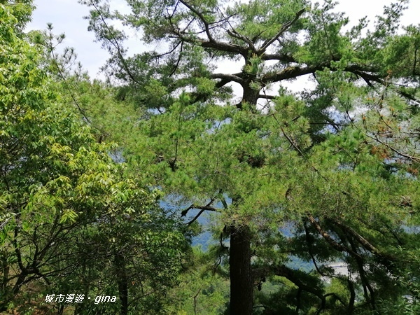 IMG_20200418_115306.jpg IMG_20200418_115306.jpg