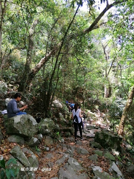 IMG_20200418_121016.jpg IMG_20200418_121016.jpg