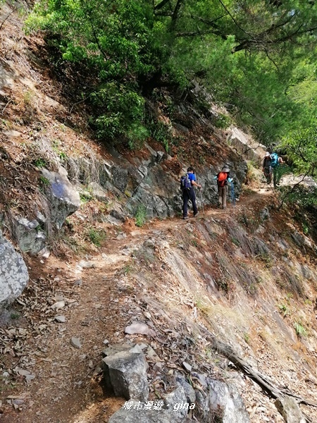 IMG_20200418_115219.jpg IMG_20200418_115219.jpg