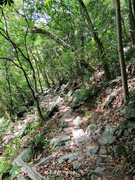 IMG_20200418_121108.jpg IMG_20200418_121108.jpg