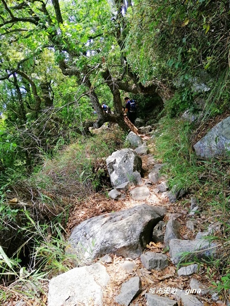 IMG_20200418_122004.jpg IMG_20200418_122004.jpg