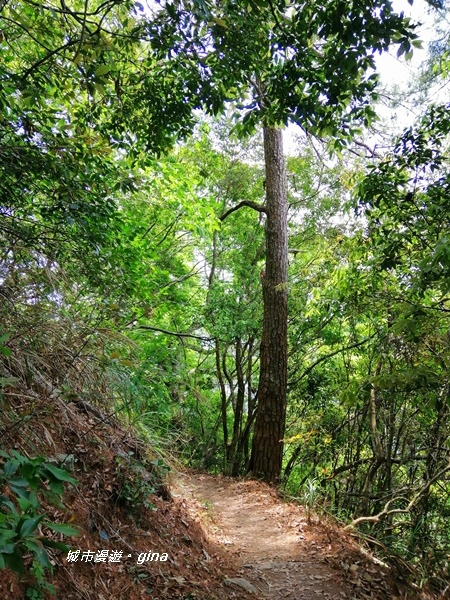 IMG_20200418_114537.jpg IMG_20200418_114537.jpg