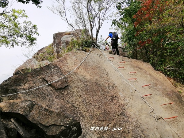 IMG_20200418_131557.jpg IMG_20200418_131557.jpg