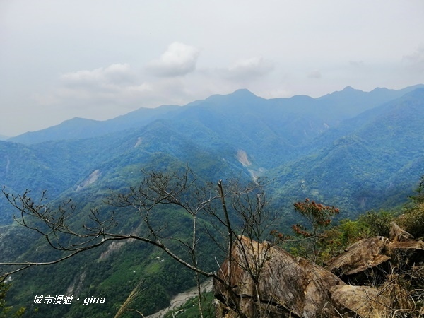 IMG_20200418_131523.jpg IMG_20200418_131523.jpg