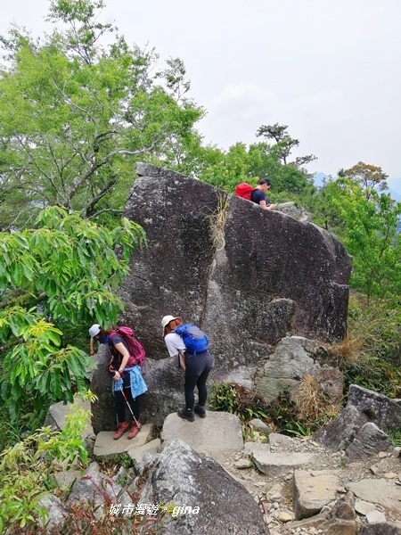 IMG_20200418_132315.jpg IMG_20200418_132315.jpg