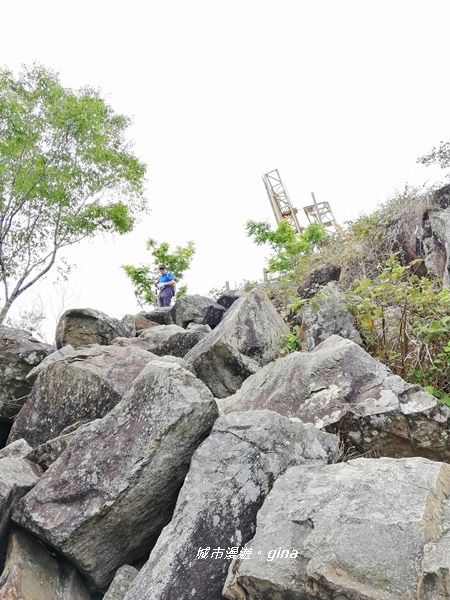 IMG_20200418_133309.jpg IMG_20200418_133309.jpg