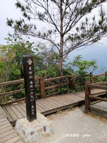 IMG_20200418_133437.jpg IMG_20200418_133437.jpg