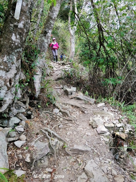 IMG_20200418_132335.jpg IMG_20200418_132335.jpg