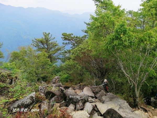 IMG_20200418_133436.jpg IMG_20200418_133436.jpg