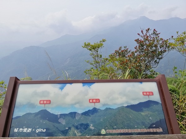 IMG_20200418_140138.jpg IMG_20200418_140138.jpg