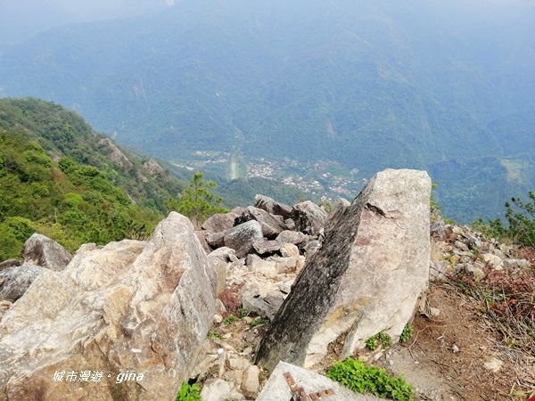 IMG_20200418_135706.jpg IMG_20200418_135706.jpg