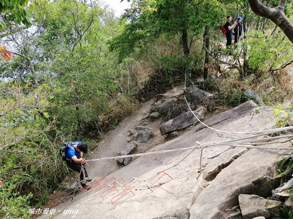 IMG_20200418_142123.jpg IMG_20200418_142123.jpg