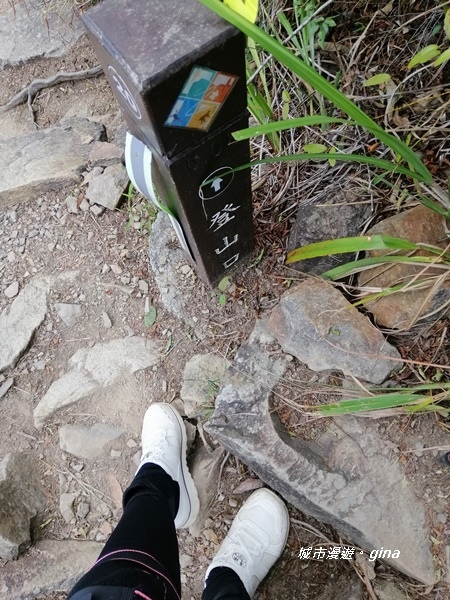 IMG_20200418_141154.jpg IMG_20200418_141154.jpg