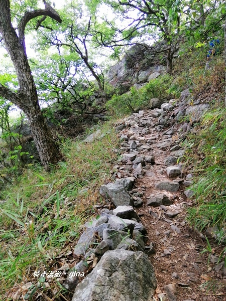 IMG_20200418_143749.jpg IMG_20200418_143749.jpg