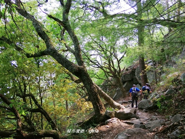 IMG_20200418_143933.jpg IMG_20200418_143933.jpg