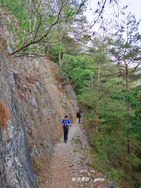 IMG_20200418_162727.jpg IMG_20200418_162727.jpg