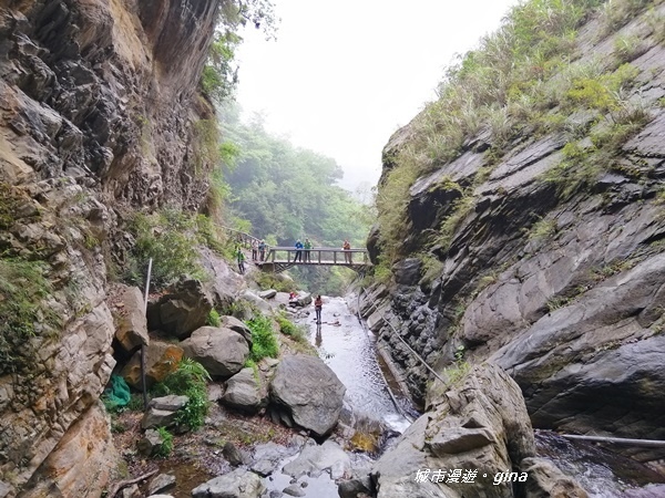 IMG_20200425_094006.jpg IMG_20200425_094006.jpg