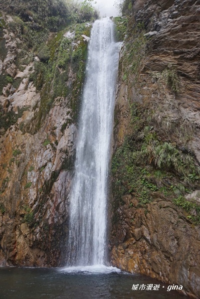 IMG_20200425_094003.jpg IMG_20200425_094003.jpg