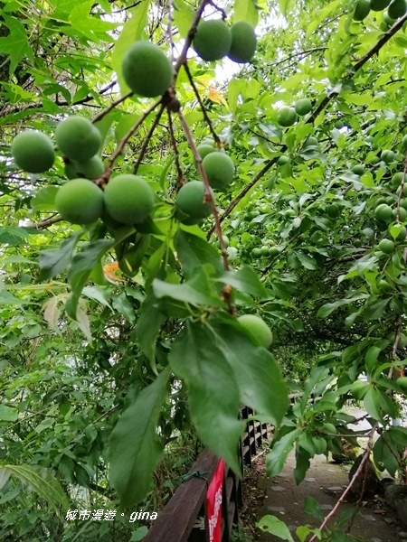 IMG_20200425_094017.jpg IMG_20200425_094017.jpg