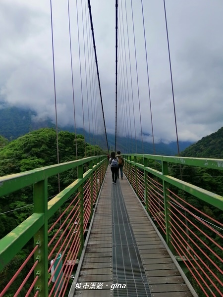 IMG_20200425_094700.jpg IMG_20200425_094700.jpg