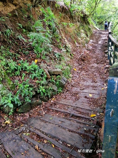 IMG_20200425_095019.jpg IMG_20200425_095019.jpg