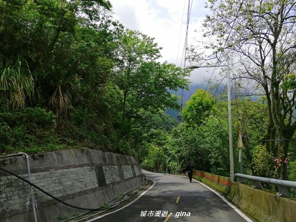 IMG_20200425_095713.jpg IMG_20200425_095713.jpg