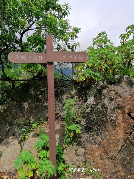 IMG_20200425_095614.jpg IMG_20200425_095614.jpg