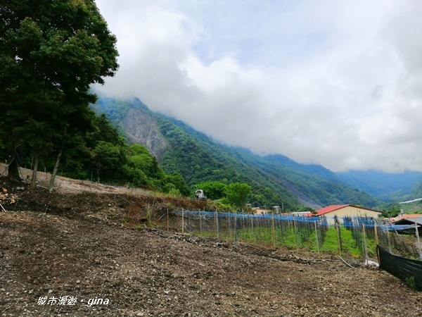 IMG_20200425_100244.jpg IMG_20200425_100244.jpg