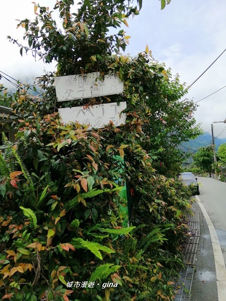 IMG_20200425_100150.jpg IMG_20200425_100150.jpg