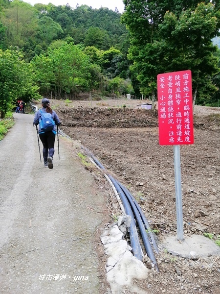 IMG_20200425_100237.jpg IMG_20200425_100237.jpg